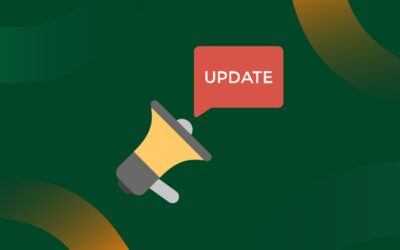 RIBES Progress Meeting: A Successful Milestone