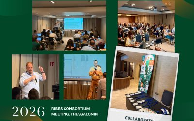 RIBES Partners Meet in Thessaloniki to Review Progress and Align Next Steps